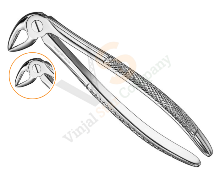 Extracting Forceps Eng, V01-316