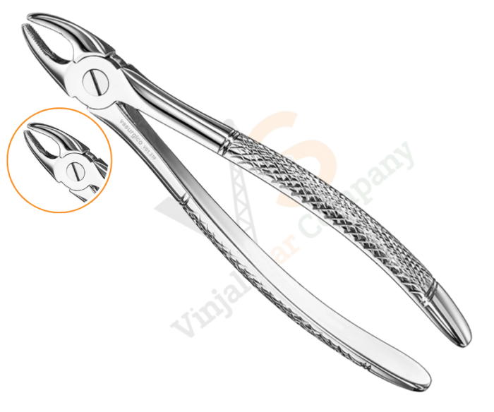Extracting Forceps Eng, V01-319